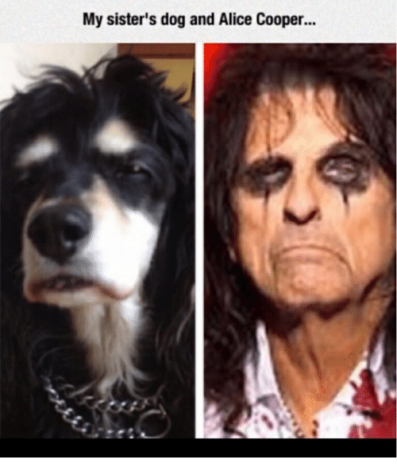 my-sisters-dog-and-alice-cooper-19200008